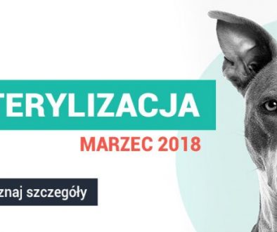 Marcowa Akcja-Sterylizacja!